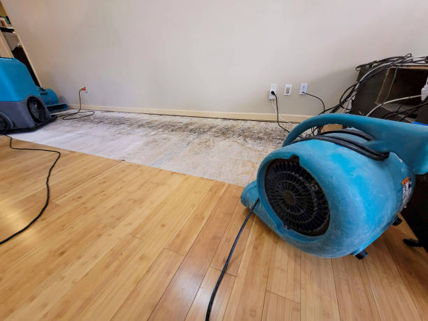Professional Flood Damage Cleanup technician working in Frisco, TX